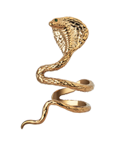 Reputation Album Snake Ear Cuff