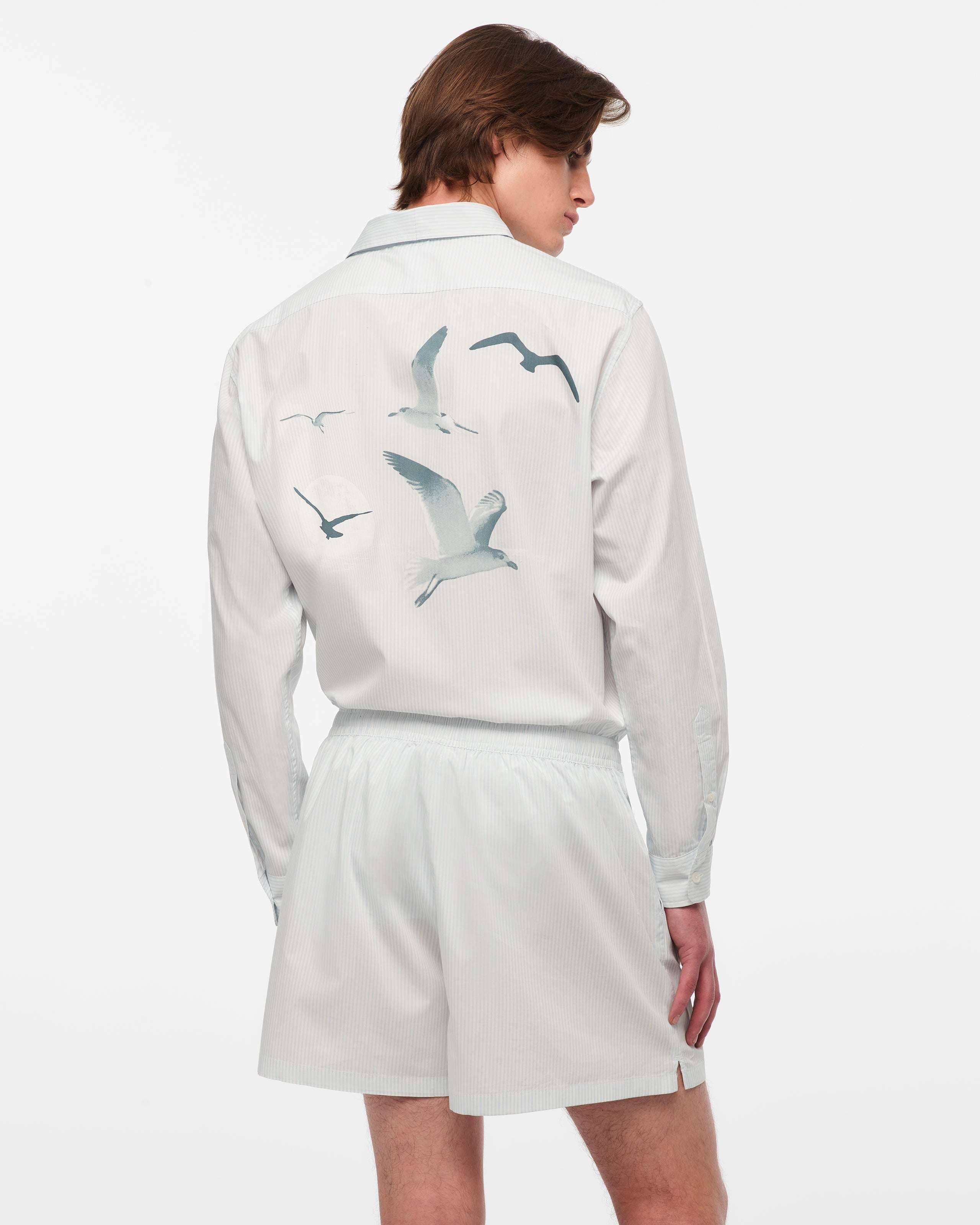 1989 (Taylor's Version) Blue Stripe Poplin Shorts