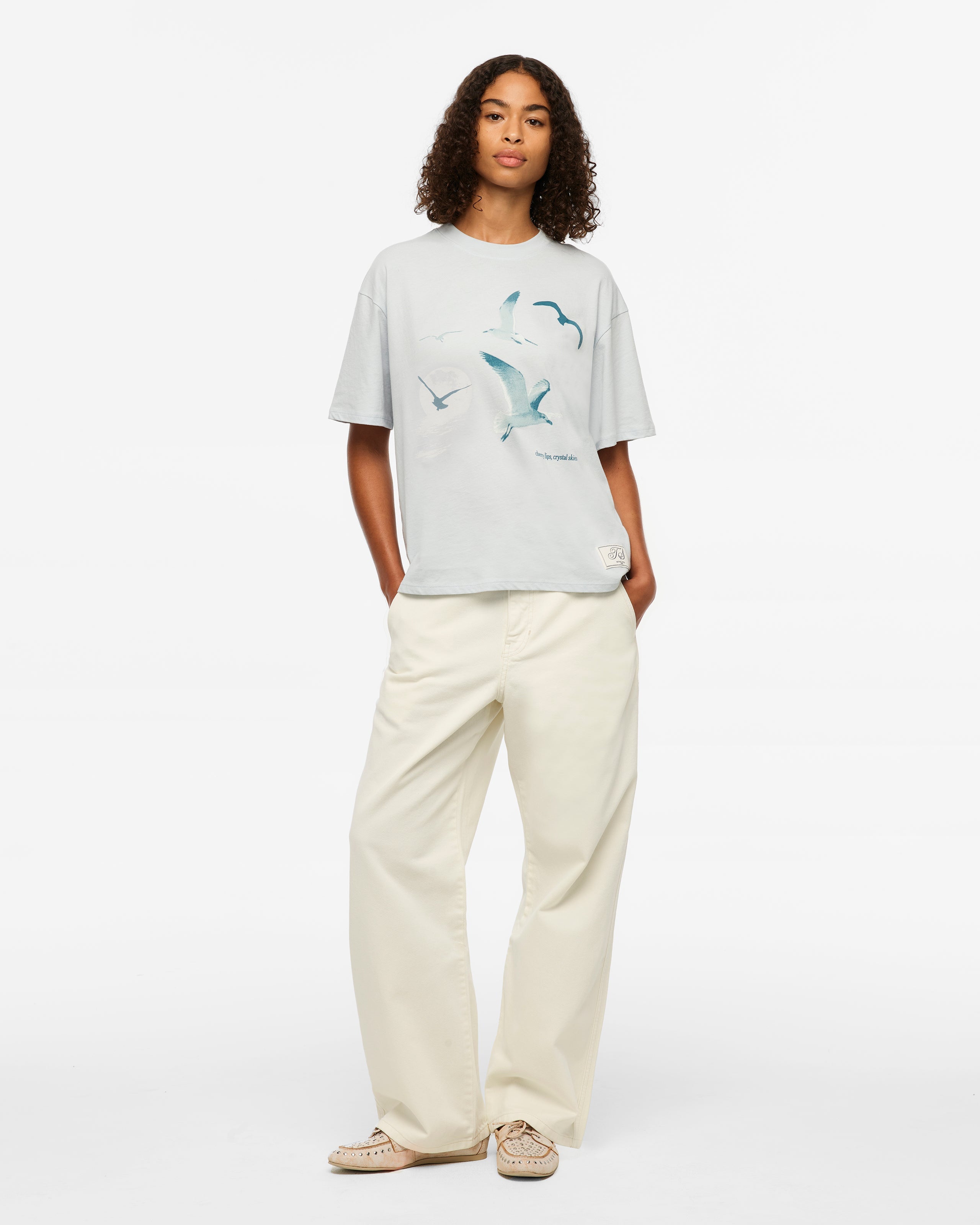 1989 (Taylor's Version) Seagull Boxy T-Shirt