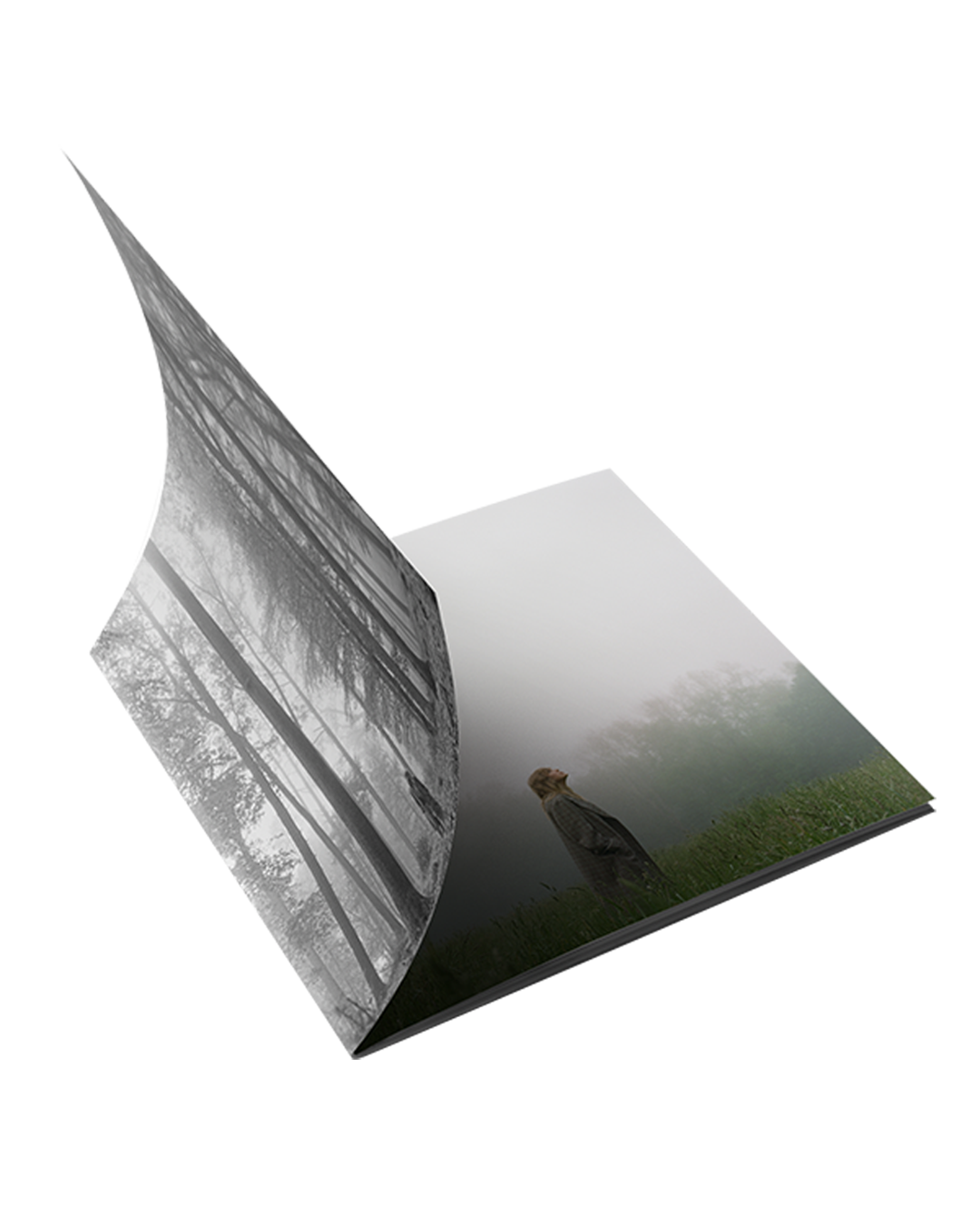 1. the "in the trees" Edition Deluxe CD (Clean)