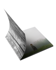 1. the "in the trees" Edition Deluxe CD (Clean)