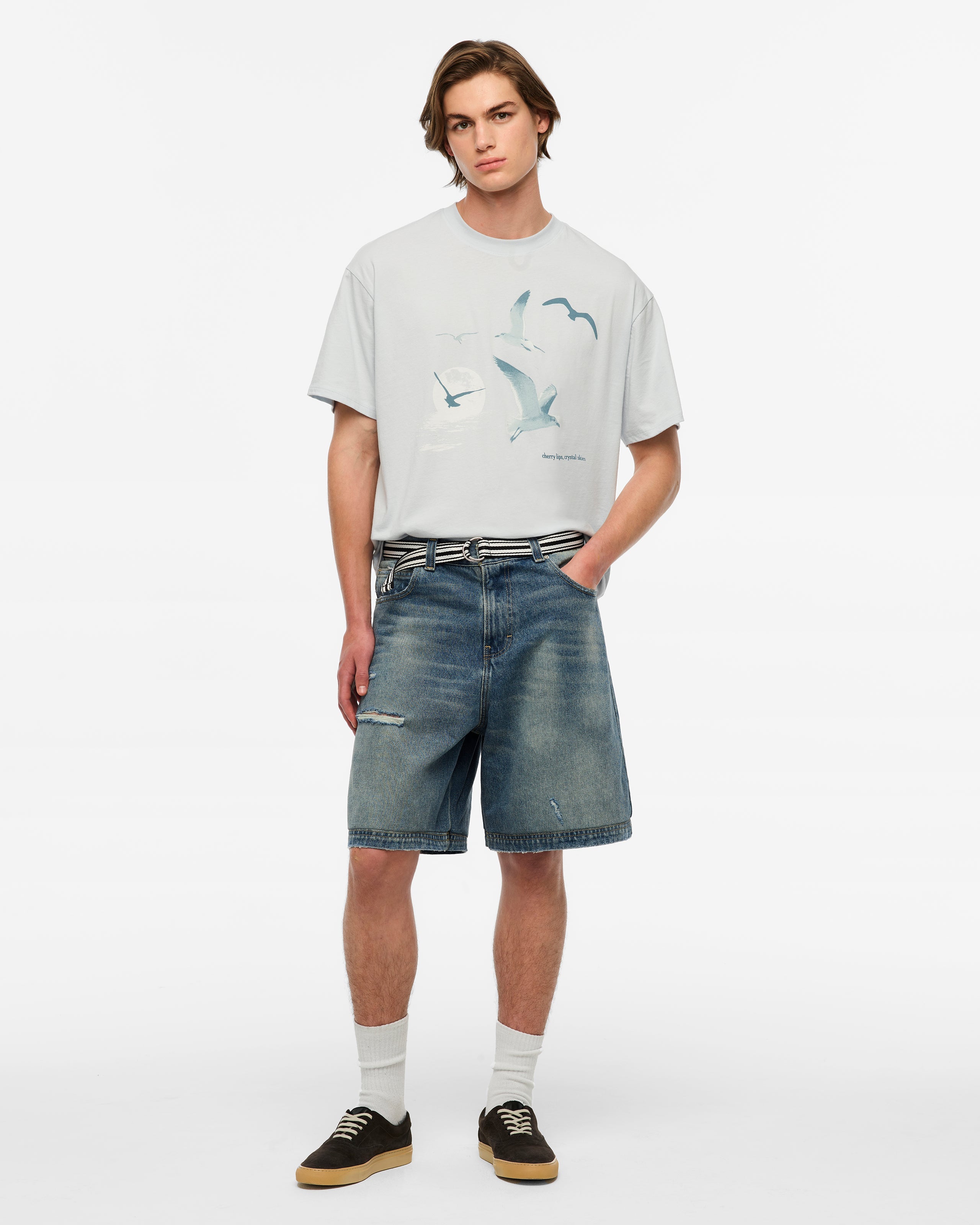1989 (Taylor's Version) Seagull Boxy T-Shirt