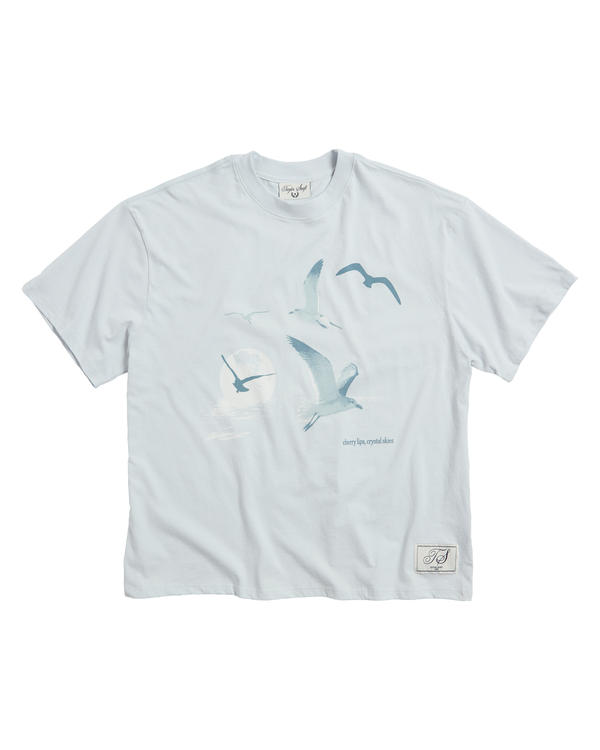 1989 (Taylor's Version) Seagull Boxy T-Shirt