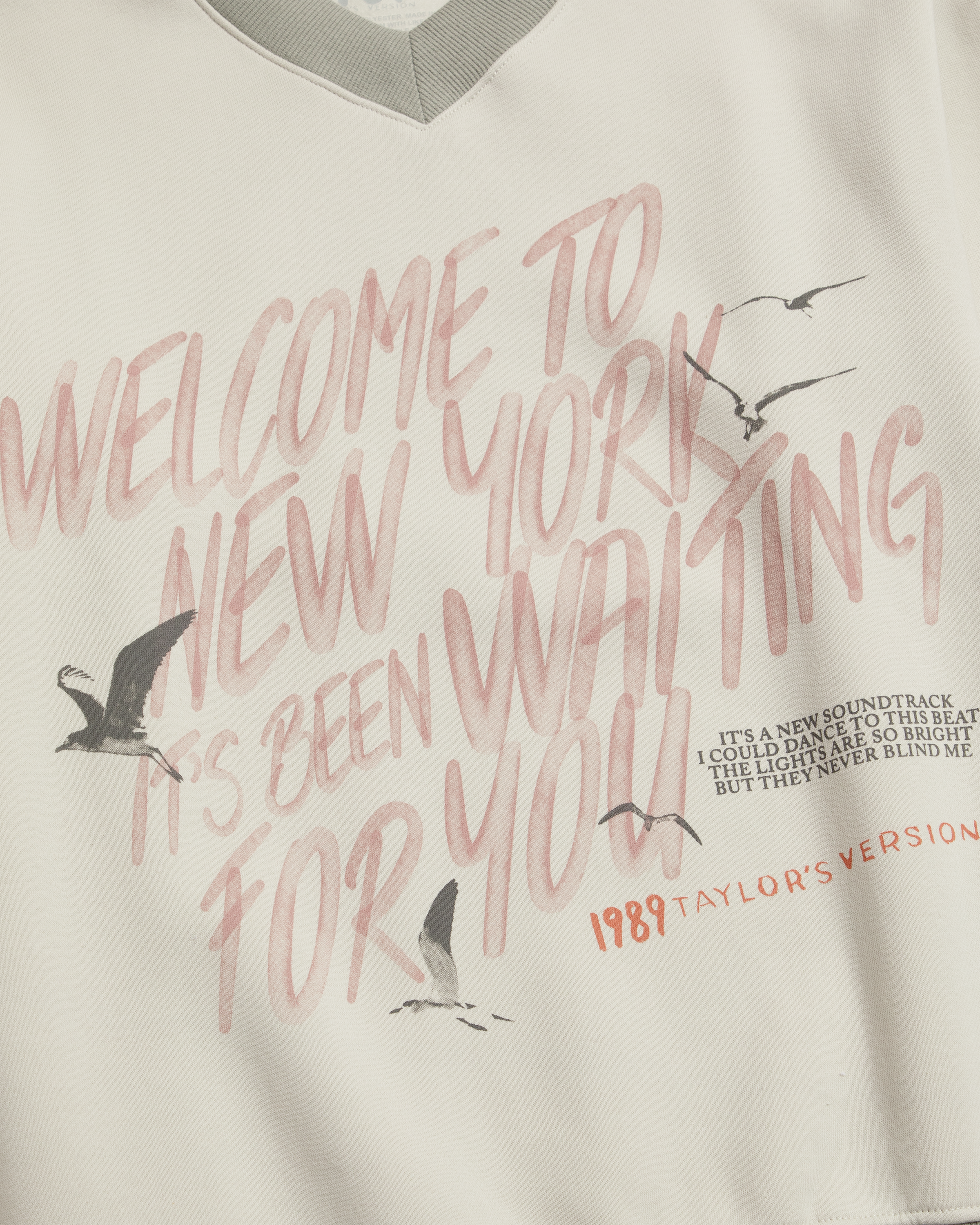 Welcome To New York, It's Been Waiting For You V-Neck Pullover